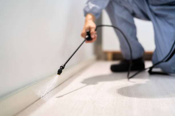 Professional exterminator conducting IPM assessment in Coweta