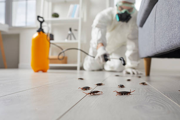 Commercial Kitchen Cockroach Control in Coweta
